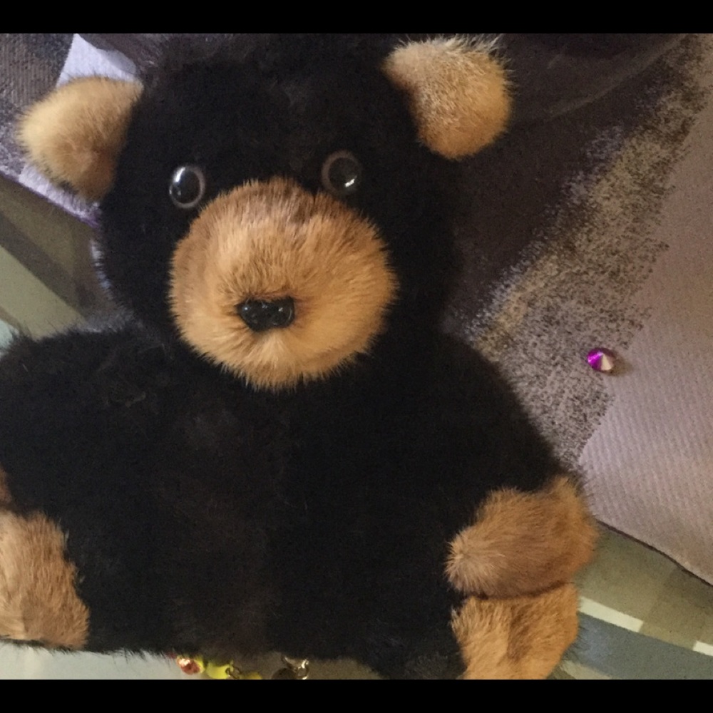 Mink Fur Teddy Bear